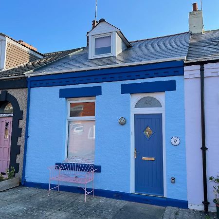 Cowrie Cottage 北希尔兹 外观 照片