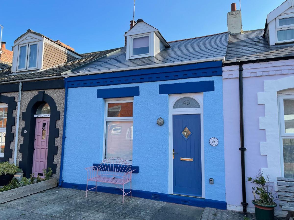 Cowrie Cottage 北希尔兹 外观 照片