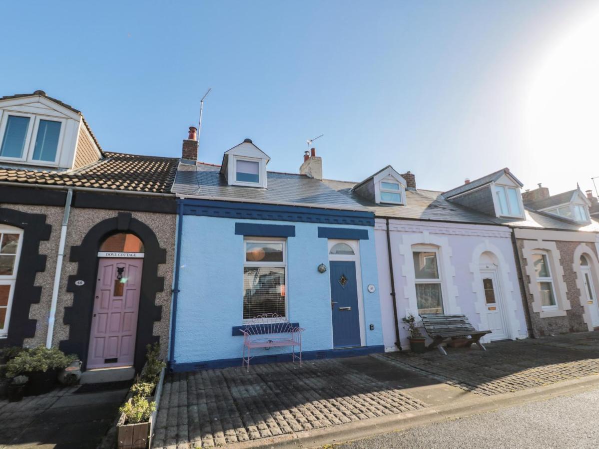 Cowrie Cottage 北希尔兹 外观 照片